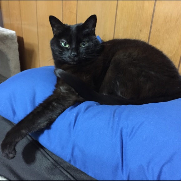 Meet your Posher, Stephanie - Picture 2 of 2